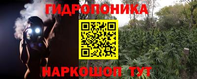 ГАЛЛЮЦИНОГЕННЫЕ ГРИБЫ Пушкино