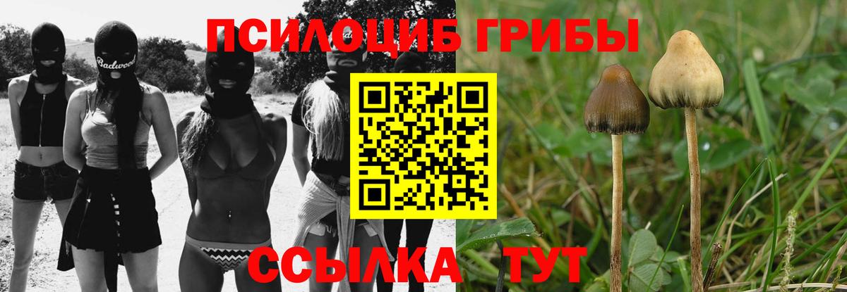 Псилоцибиновые грибы MAGIC MUSHROOMS  где купить наркоту  Рузаевка  Вход с VPN  Псилоцибиновые грибы мицелий 